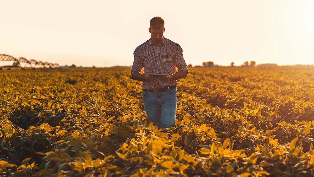 agriculteurs difficulte faites erreur passer dispositifs aide